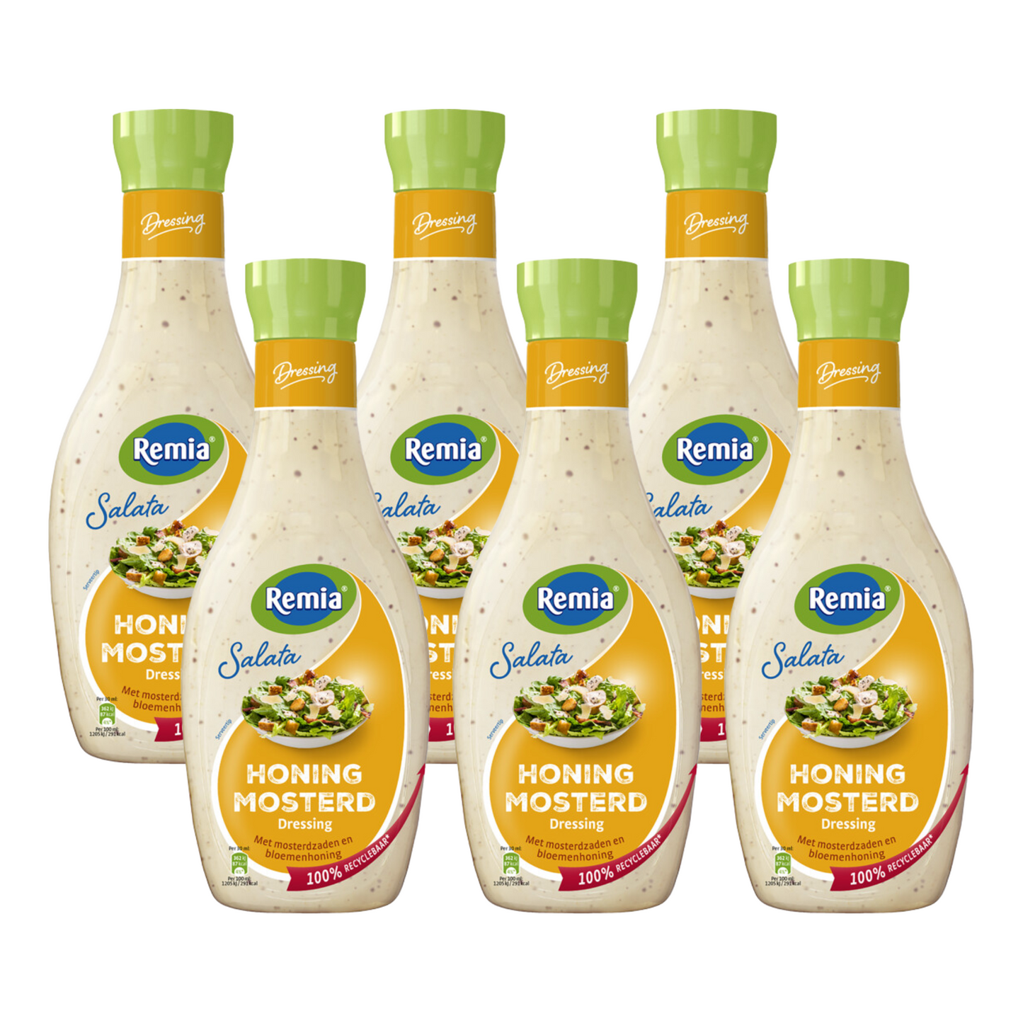 Remia Salata Honig-Senf (6x 450ml)