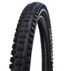 Abi Tire 27.5 Schwalbe Tacky Chan