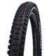 Schwalbe Tire Tecky Chan Evol.line 62-584