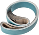 Pferd Schleifband 75x2000 blau x Z60 forte