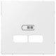 Merten Zentralplatte USB 2-V polarweiß