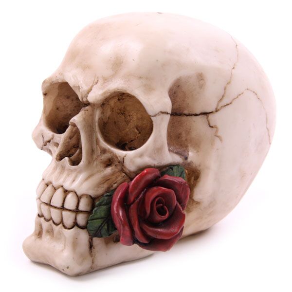 Schädel mit Rosen von Haushaltszubehör