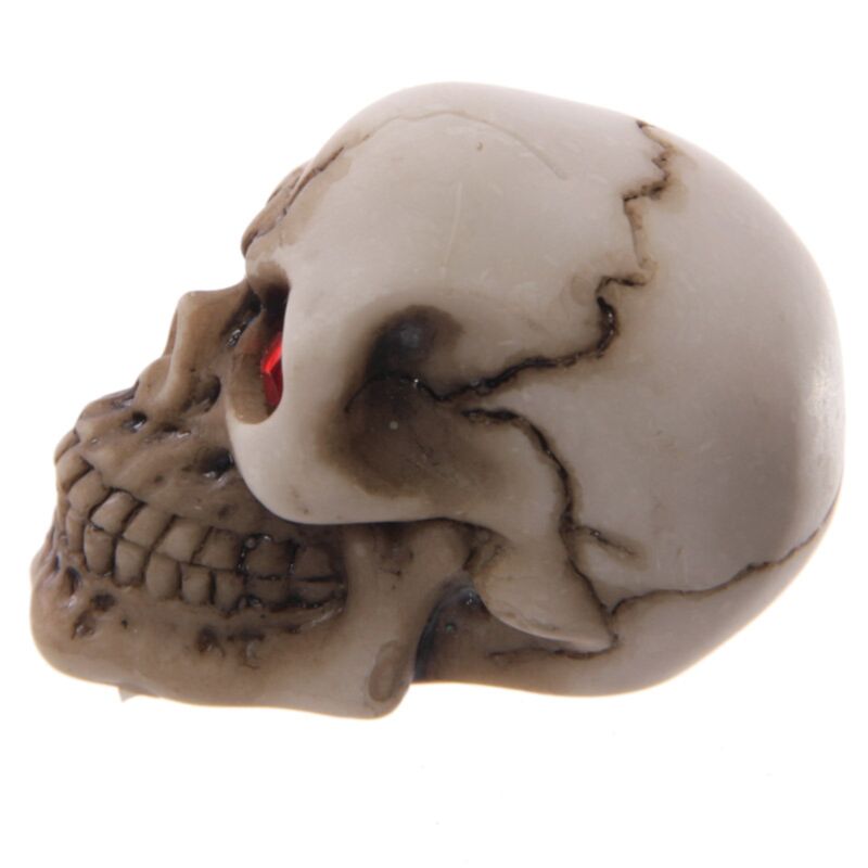 Grausames Schädel Red Eyes Home Accessoire