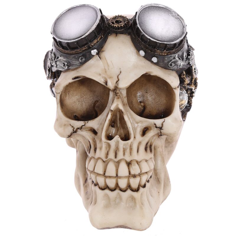 Dampfpunk -Motorbrille Hauszubehör