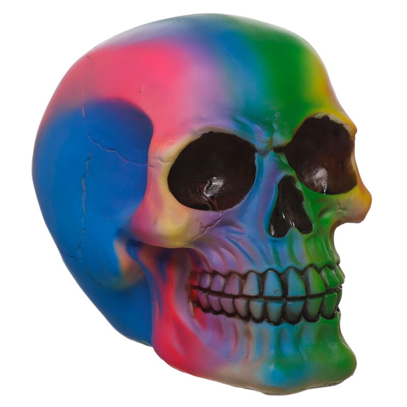 Regenbogenschädel Hauszubehör