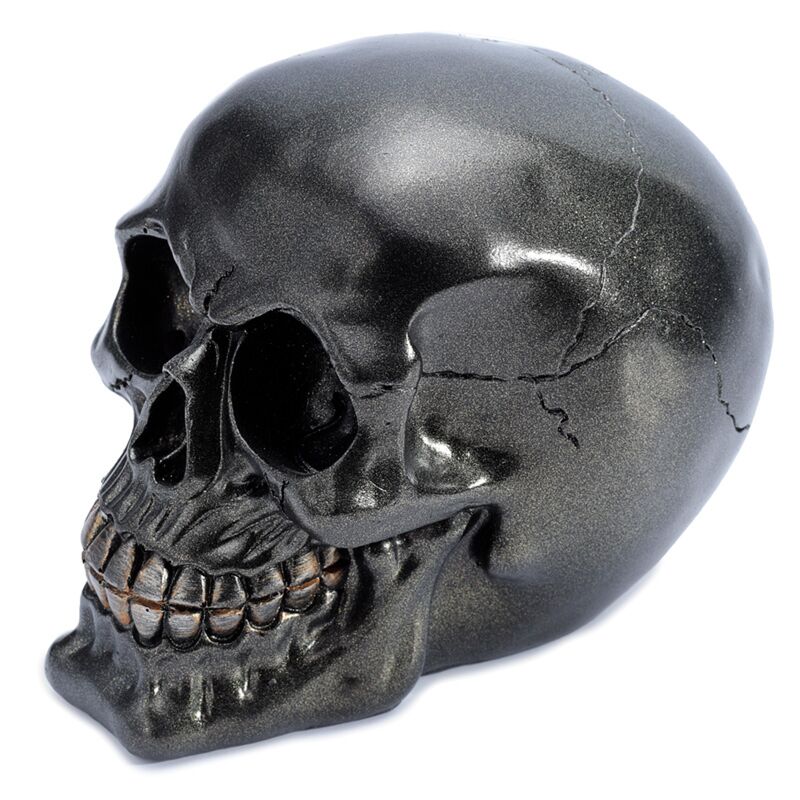 Metallic Black Skull Home Accessoire