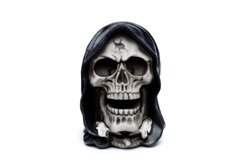 Das Reaper Schedel Housing Accessoire