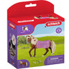 Schleich Horse Club Paso Fino Hengst Horse Show