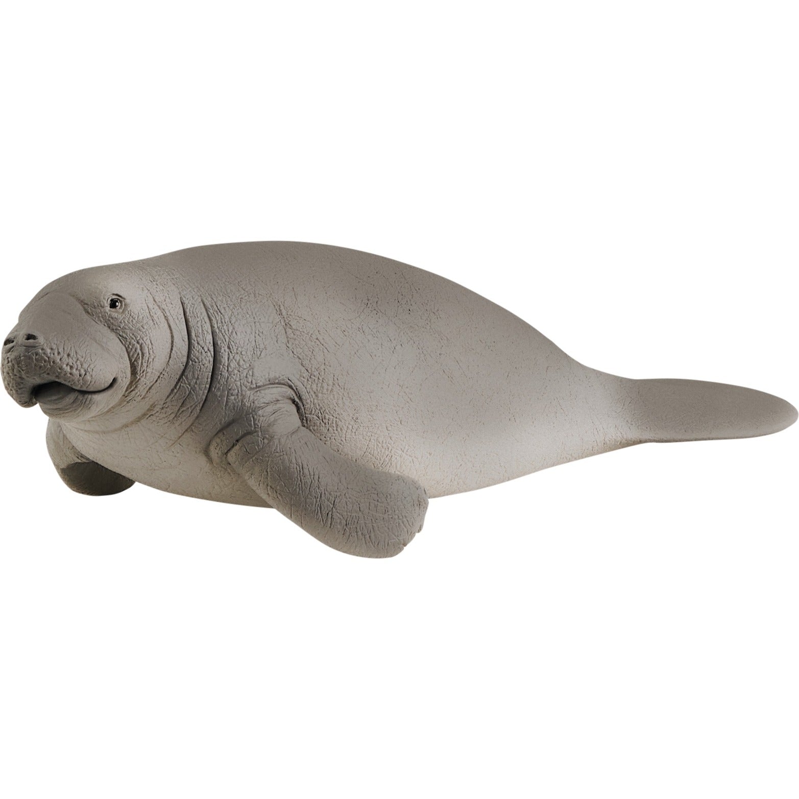 Schlich Wild Life Sea Kuh