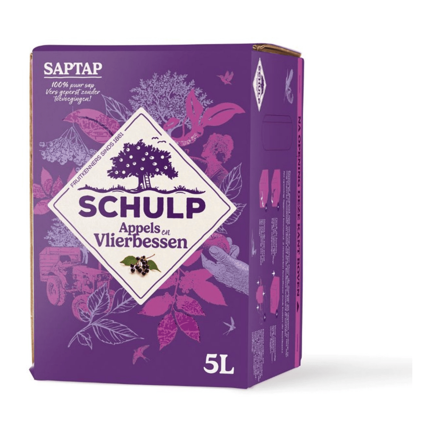 Schulp Safthahn Apfel-Holunderbeeren (5 Liter)