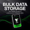 Seagate Exos 7e10 10 TB