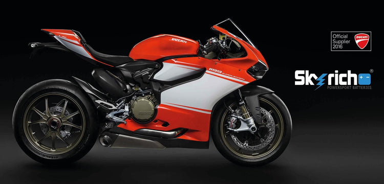Skyrich Lifepo4-Batterie hjt9b-fp. Batterie hjt9b-fp-si Lithium