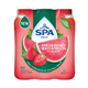 Spa Fruit Still Erdbeere Wassermelone Kappe (6x 400ml)