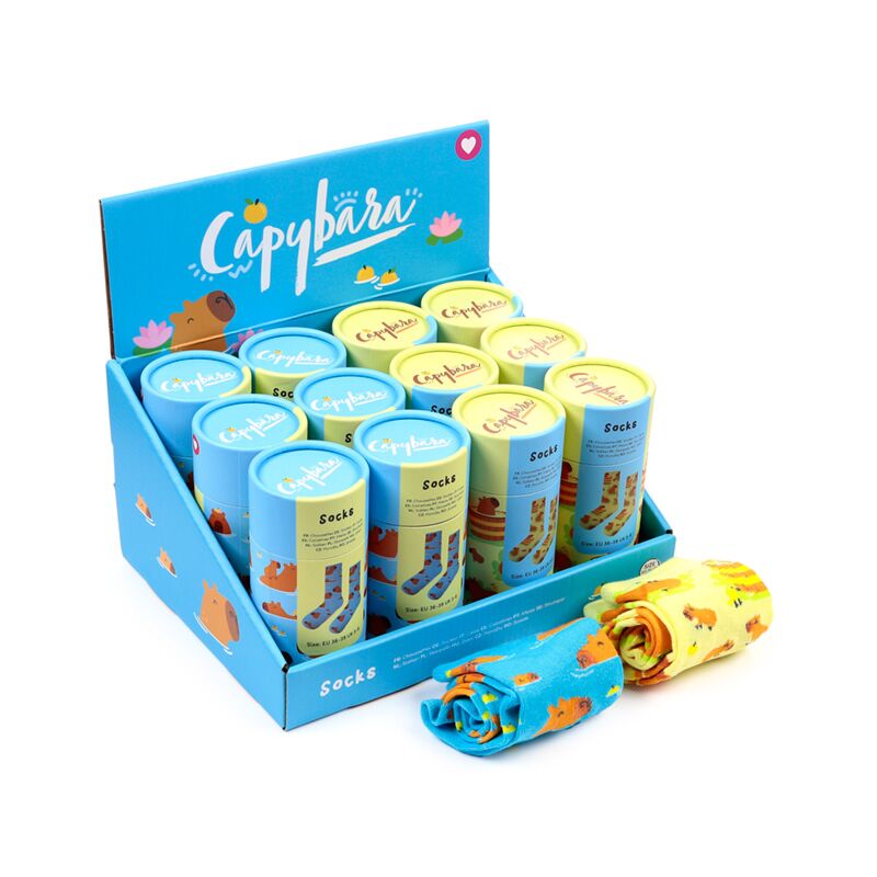 Capybara-Socken in einer Tube