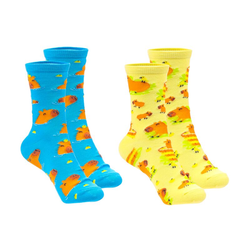 Capybara-Socken in einer Tube