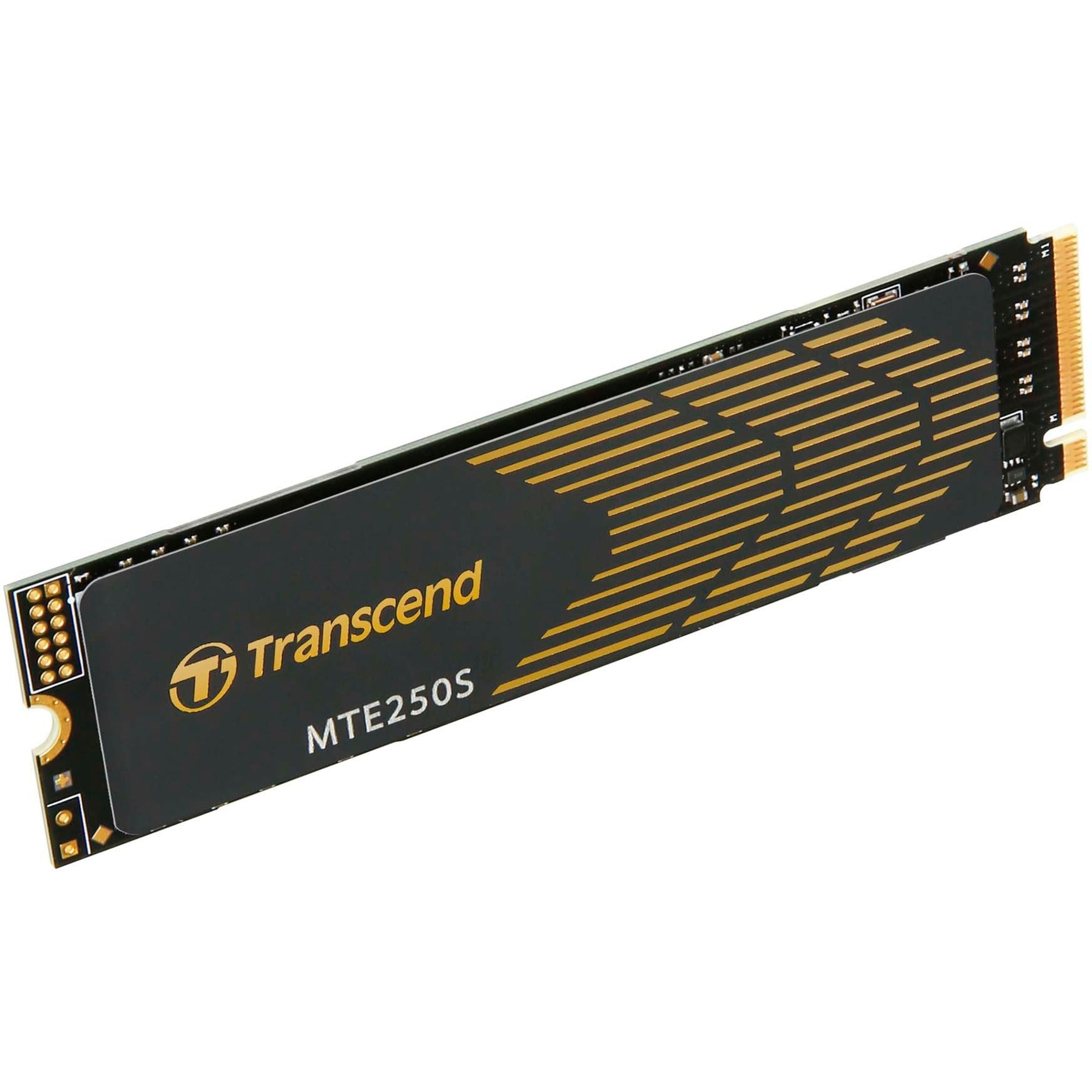 Transzend 250s 4 TB