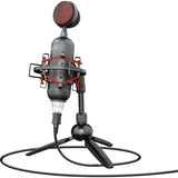 Vertrauen Sie GXT 244 Buzz USB -Streaming -Mikrofon - afbeelding 1