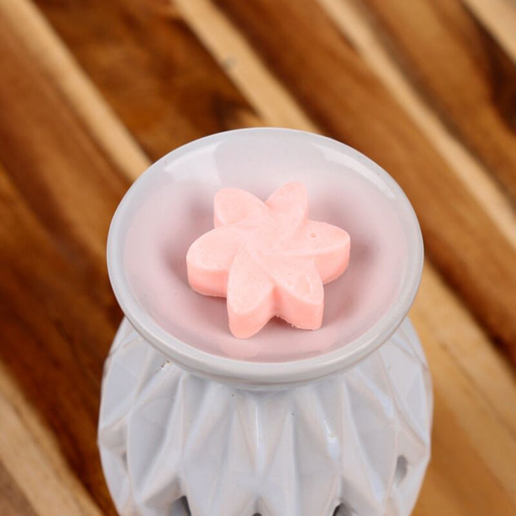 Japanische Magnolien -Set von 6 Wachsmeilen