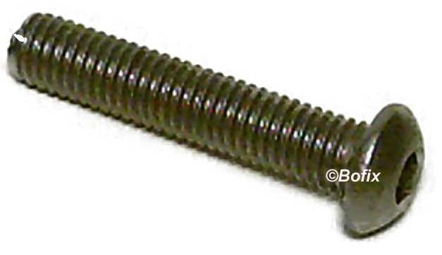 Xtrabike -Kampf Zon Bolkop M6x45 Edelstahl