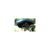 Selle Royal Selle Sattel Lookin Evo Sportic Stacciciatella Schwarz