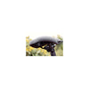 Selle Royal Selle Saddle Explora Jr M (20-22 Zoll) Schwarz