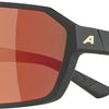 Alpina Swift - Sportbrille