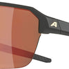 Alpina Swift HR - Sportbrille