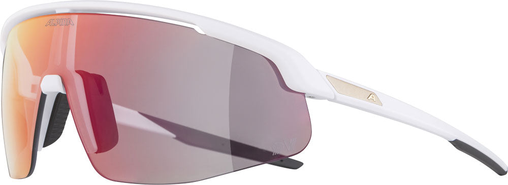 Alpina Turbo Pro qv – Sportbrille