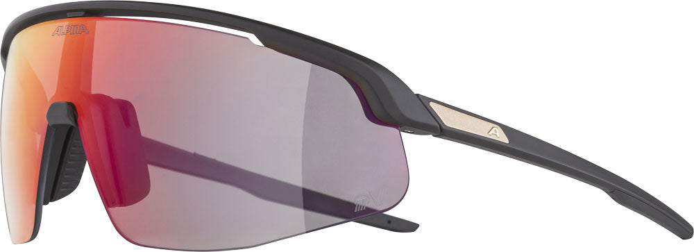 Alpina Turbo Pro qv – Sportbrille