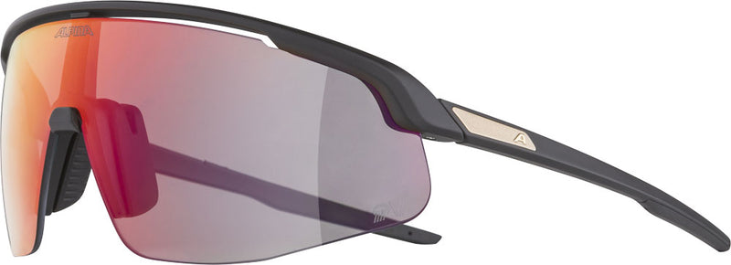 Alpina Turbo Pro qv – Sportbrille