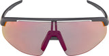 Alpina Turbo Pro qv – Sportbrille - afbeelding 2