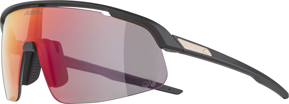 Alpina Turbo Pro S qv – Sportbrille