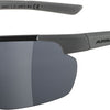 Alpina Defey HR – Sportbrille