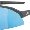 Alpina Sonic HR Q – Sportbrille