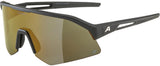 Alpina Sonic HR Q – Sportbrille - afbeelding 1