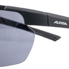 Alpina Defey HR – Sportbrille