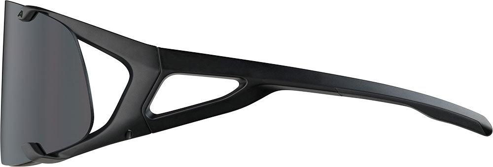 Alpina Hawkeye - Sportbrille