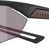 Alpina Nylos HR – Sportbrille