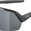 Alpina Turbo HR - Sportbrille