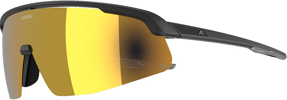 Alpina Turbo Pro Q – Sportbrille