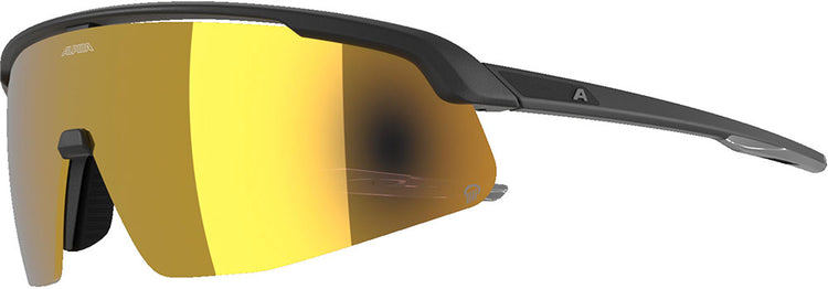 Alpina Turbo Pro Q – Sportbrille