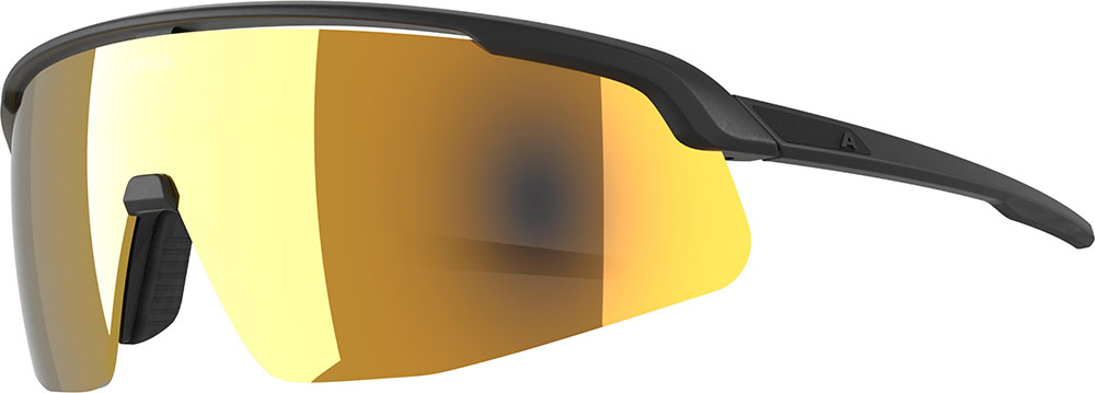 Alpina Turbo Pro S Q – Sportbrille
