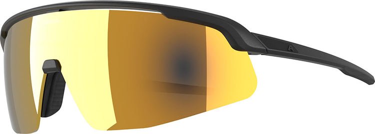 Alpina Turbo Pro S Q – Sportbrille