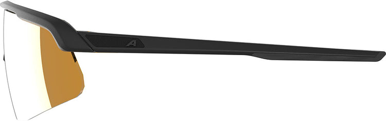 Alpina Turbo Pro S Q – Sportbrille