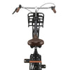Altec Niederländer 28 Zoll 50 cm Damen 3V Untersetzerbremse Matte schwarz