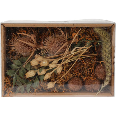 Home-Styling-Trockenblumenmischung in Box Natur