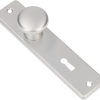Ami-Knopf 160 40 fester kurzer Schild 165 4 rh sl 56 f1 – 310152