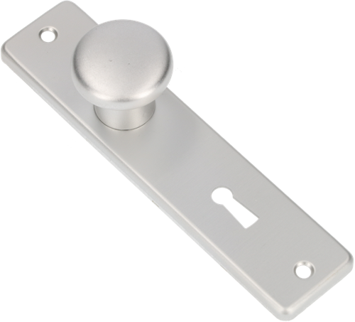 Ami-Knopf 160 40 fester kurzer Schild 165 4 rh sl 56 f1 – 310152