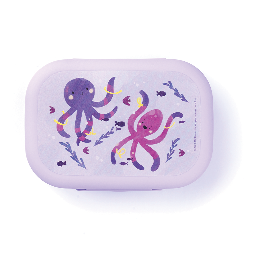 Amuse Lunchbox mittelgroßer lila Oktopus
