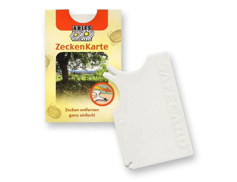 Widder -Zeichnungskarten -Taschengröße, 6 x 9 cm